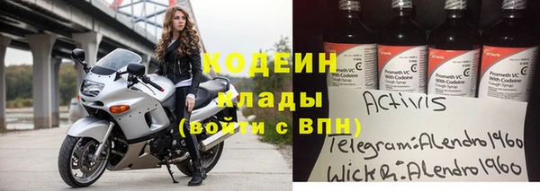 spice Богданович