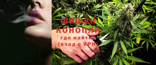 spice Богданович