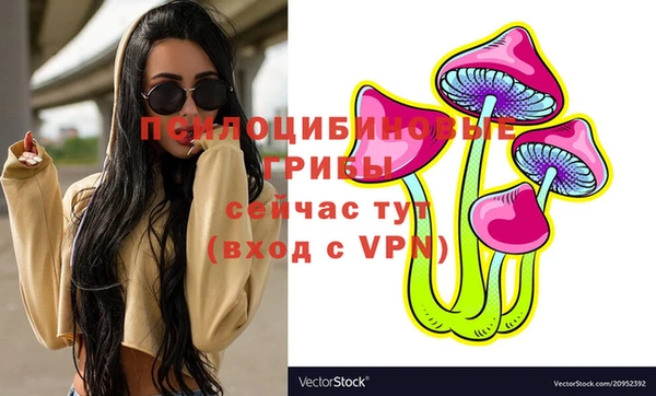 spice Богданович