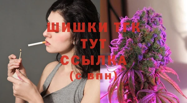 spice Богданович
