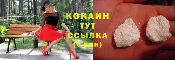 spice Богданович