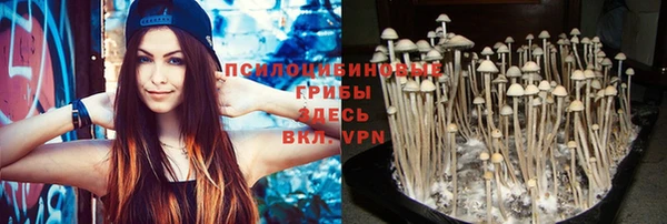 метамфетамин Богородицк